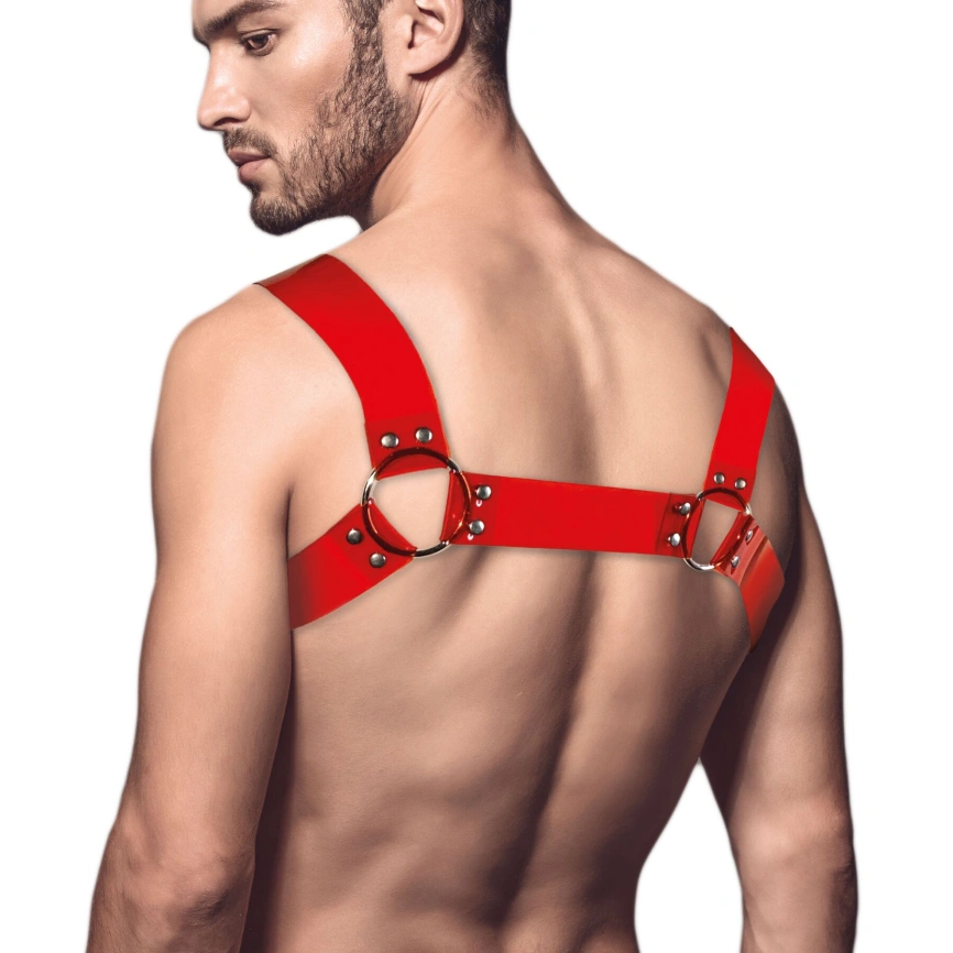 Мужская портупея на грудь Feral Feelings - Bulldog Harness Red Trasparent фото 2
