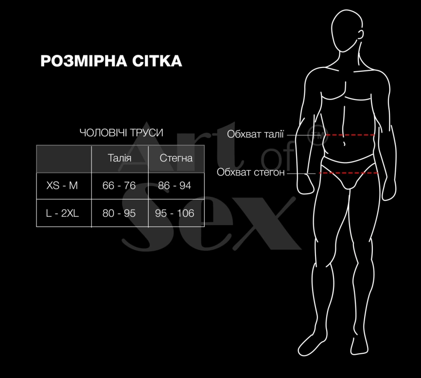 Мужские трусики XS-2XL с силиконовой анальной пробкой Art of Sex - Sexy Panties plug size L Black фото 3