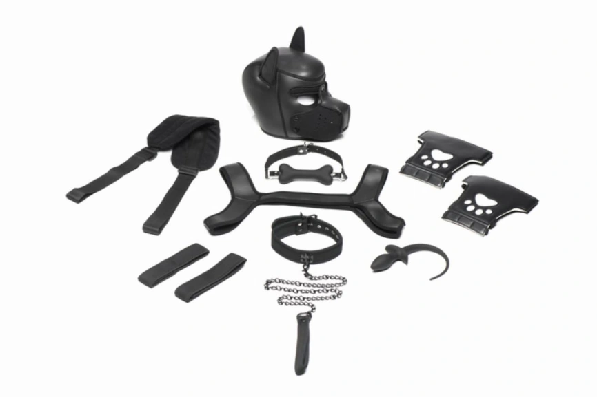 Набор BDSM щенка Master Series Luxury Pup Arsenal Set - Black фото 1