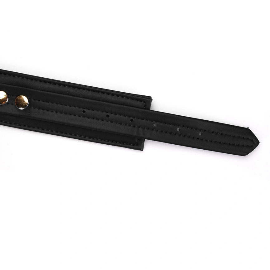 Ошейник с поводком Liebe Seele Black Organosilicon Collar with Leash, экокожа фото 5