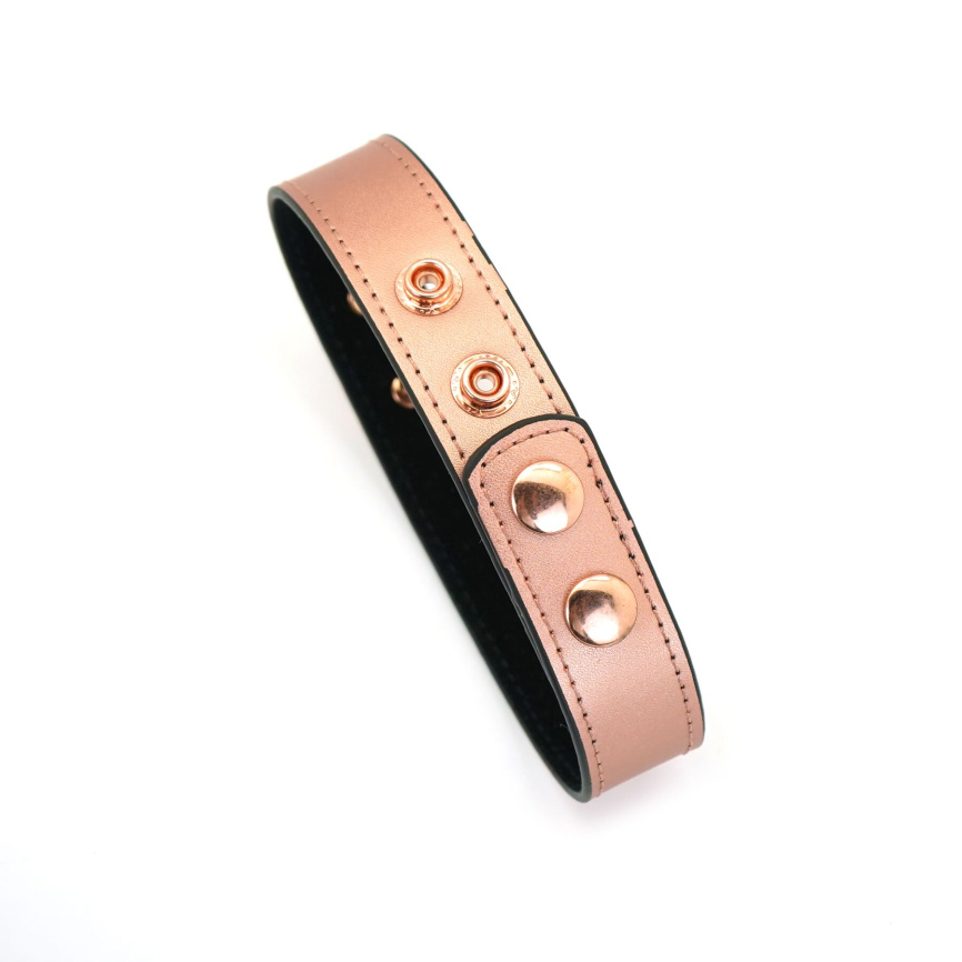 Нашийник із затискачами для сосків Liebe Seele Rose Gold Memory Collar with Nipple Clamps, шкіра фото 11