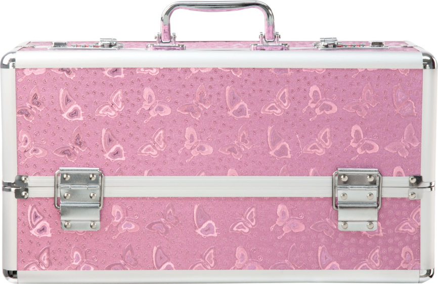 Великий кейс для зберігання секс-іграшок BMS Factory Large Lokable Vibrator Case Pink, кодовий замок фото 3