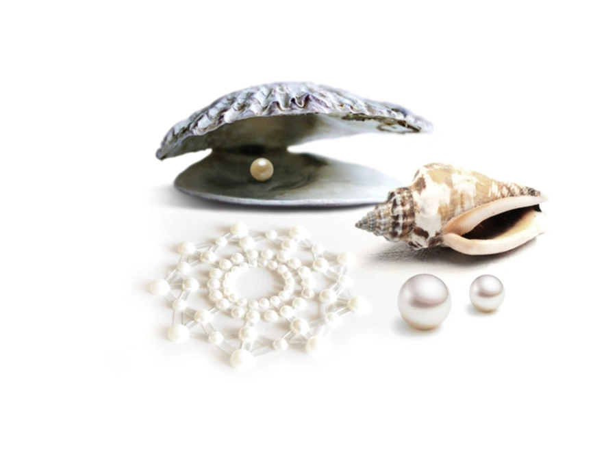 Пэстис из кристаллов Bijoux Indiscrets - Mimi Pearl, украшение на грудь фото 2