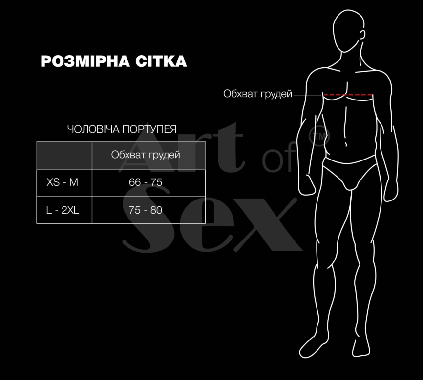 Мужская портупея Art of Sex - Spartacus, натуральная кожа, цвет черный, размер XS-M фото 4