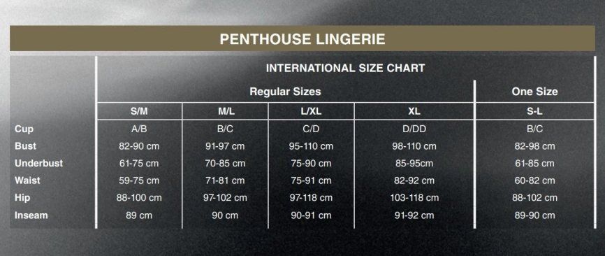 Бодистокинг в будуарном стиле Penthouse - Hottie Black XL фото 4