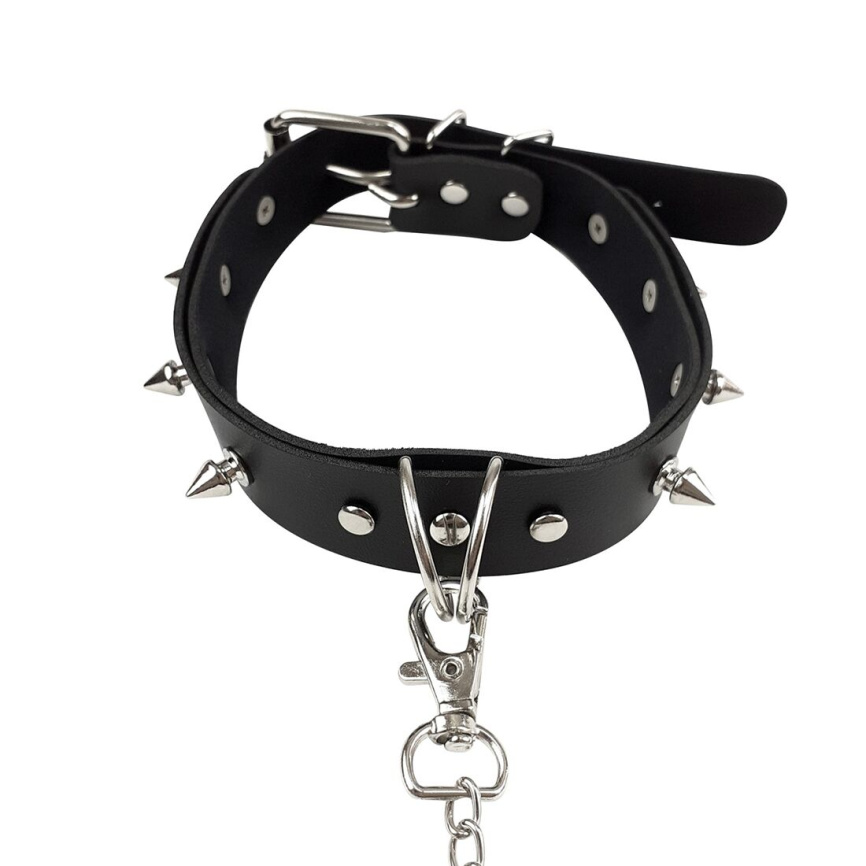 Нашийник з шипами та повідцем Art of Sex - Collar Spikes and Leash фото 6