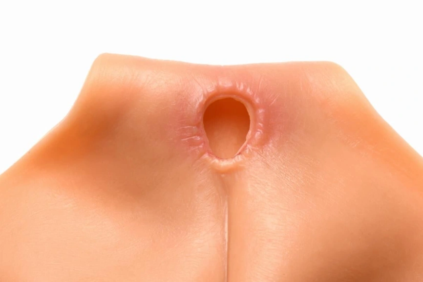 Накладная вагина Master Series Silicone Vagina + Butt Panties - Medium фото 4
