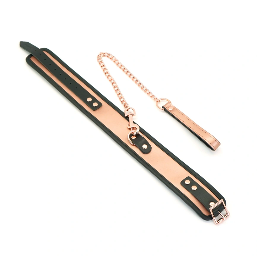 Широкий ошейник с поводком Liebe Seele Rose Gold Memory Collar with Leash, натуральная кожа фото 2