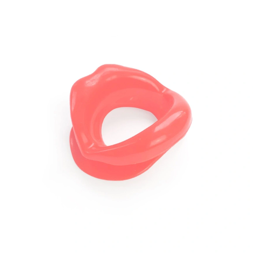 Кляп-расширитель в форме губ Art of Sex – Gag lip, розовый фото 2