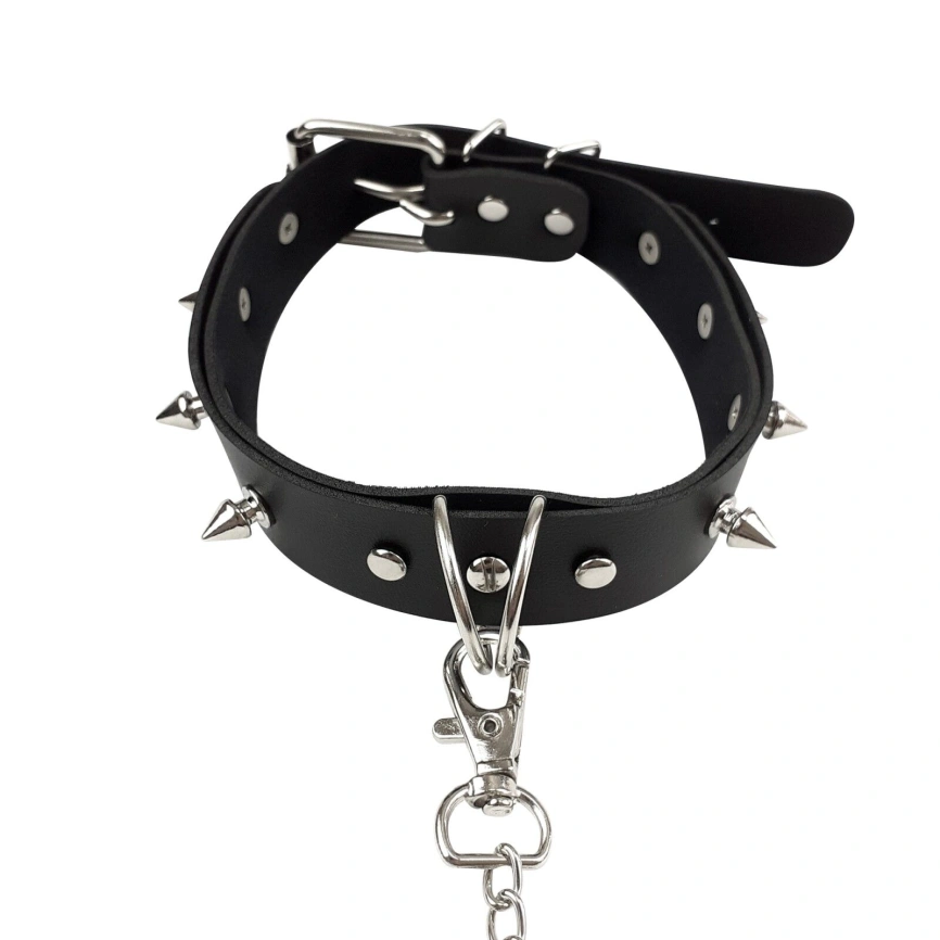 Ошейник с шипами и поводком Art of Sex - Collar Spikes and Leash фото 6