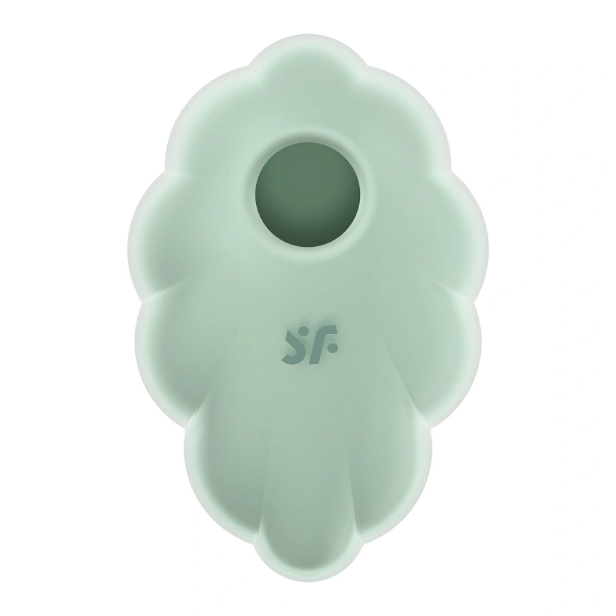 Вакуумный стимулятор с вибрацией Satisfyer Cloud Dancer Mint фото 2