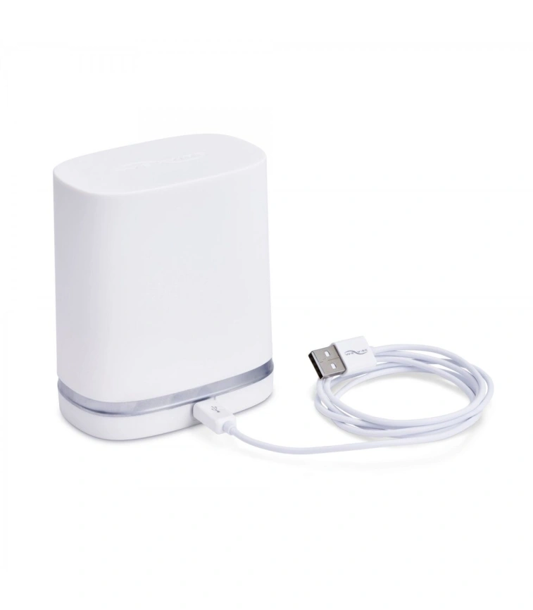 Дорожный футляр и кабель для зарядки Chorus by We-Vibe — Charger & Travel Case w/USB Cable фото 1