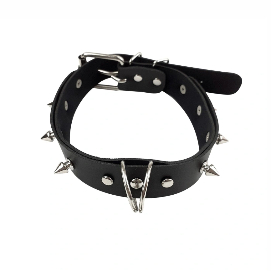Ошейник с шипами и поводком Art of Sex - Collar Spikes and Leash фото 2