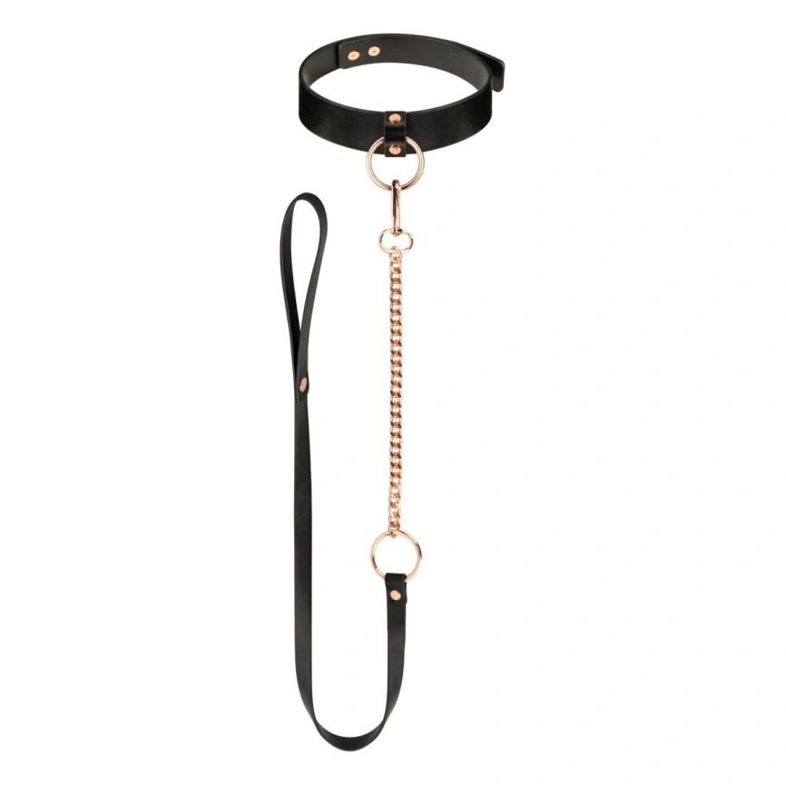 Ошейник с поводком Rosy Gold - Collar with Leash - Black фото 1