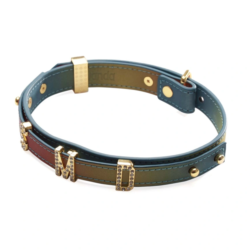 Ошейник LOCKINK Multi-color DIY Alphabet Collar, мультицвет, искусственная кожа, буквы со стразами фото 1