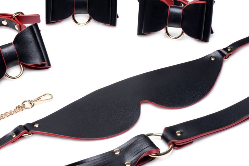 Набір БДСМ з дорожньою сумкою Master Series: Bow — Luxury BDSM Set With Travel Bag, 11 предметів фото 5