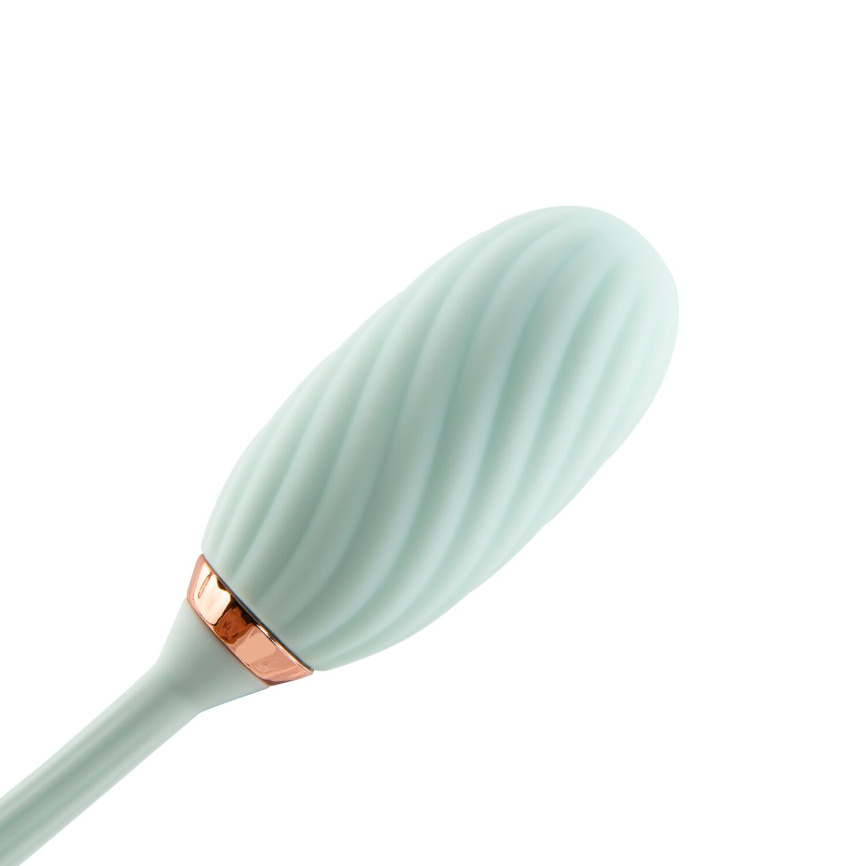 Вакуумний кліторальний стимулятор Otouch Louis Vibrate Teal з віброяйцем, у кейсі фото 5