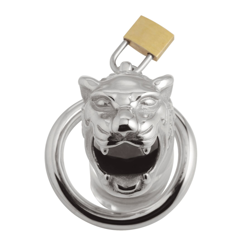 Клітка для пеніса Master Series: Tiger King Cock Cage With Lock, три кільця, замок, три ключі фото 3