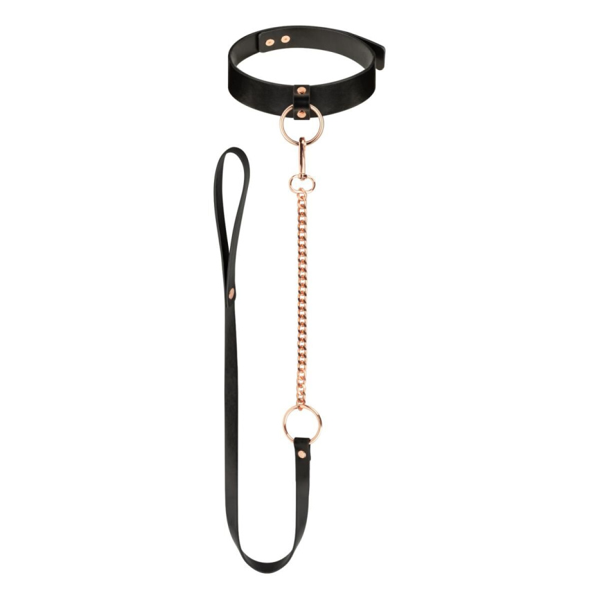 Нашийник з повідцем Rosy Gold - Collar with Leash - Black фото 1