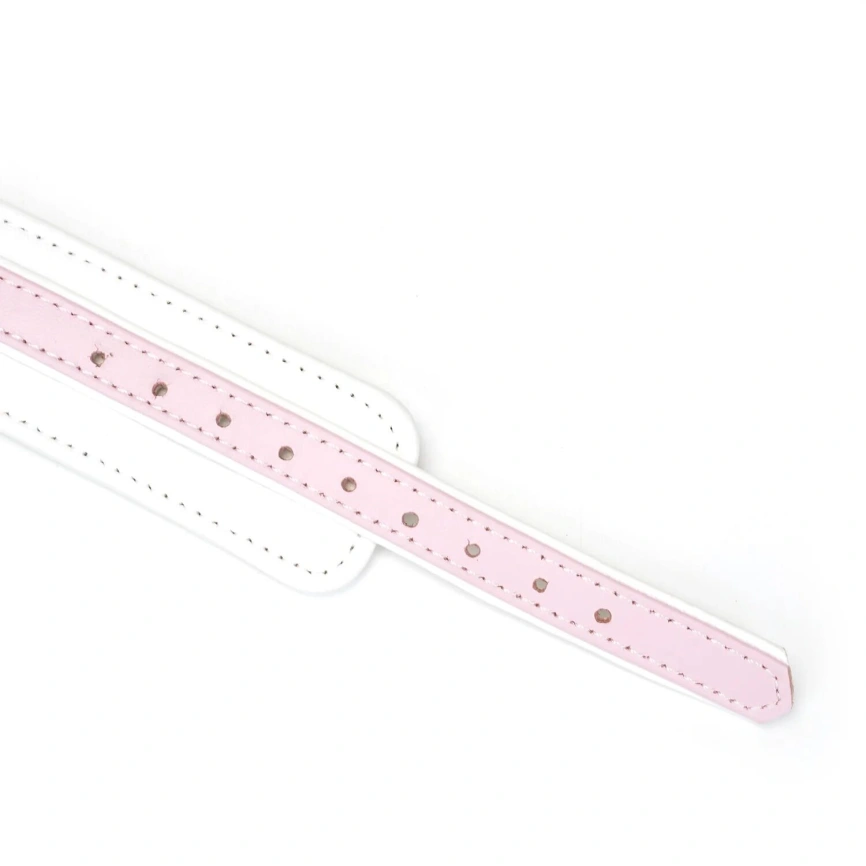 Ошейник с поводком Liebe Seele White & Pink Fairy Goat Leather Collar фото 5