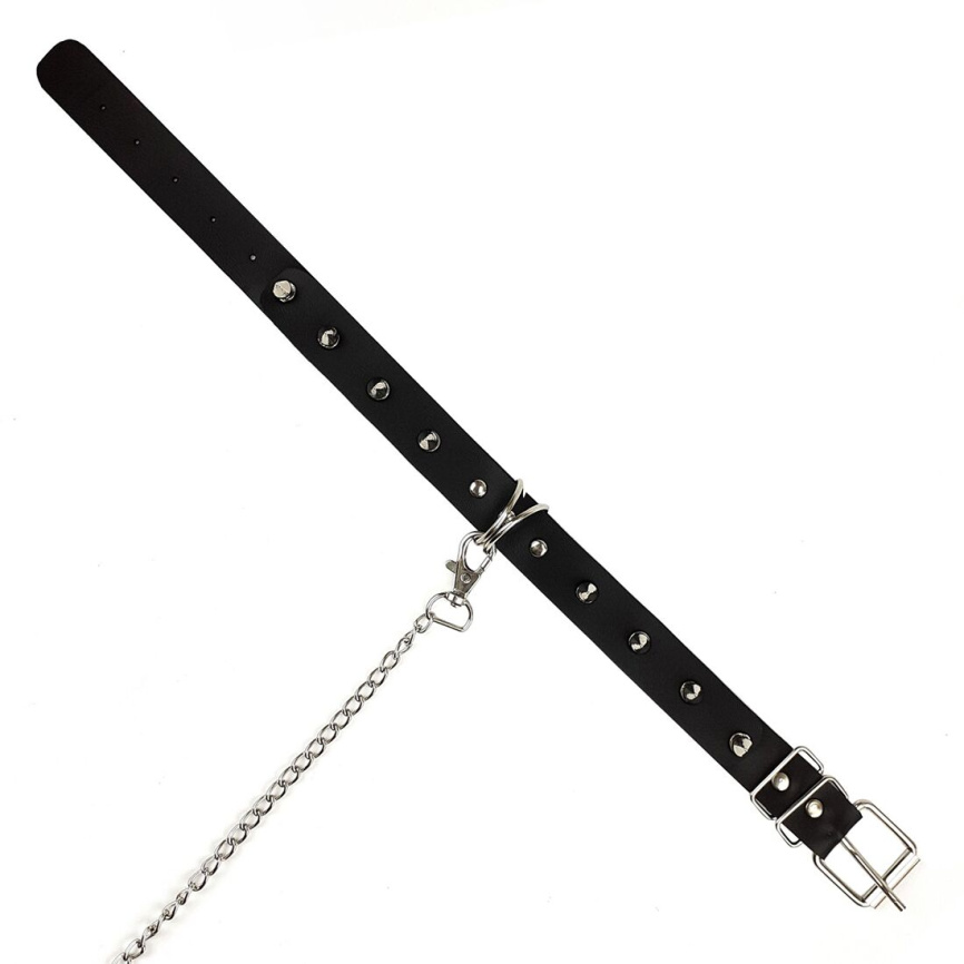 Нашийник з шипами та повідцем Art of Sex - Collar Spikes and Leash фото 7