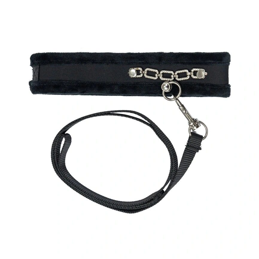 Ошейник с поводком Punishment - Crystal Collar & Leash – Black фото 1