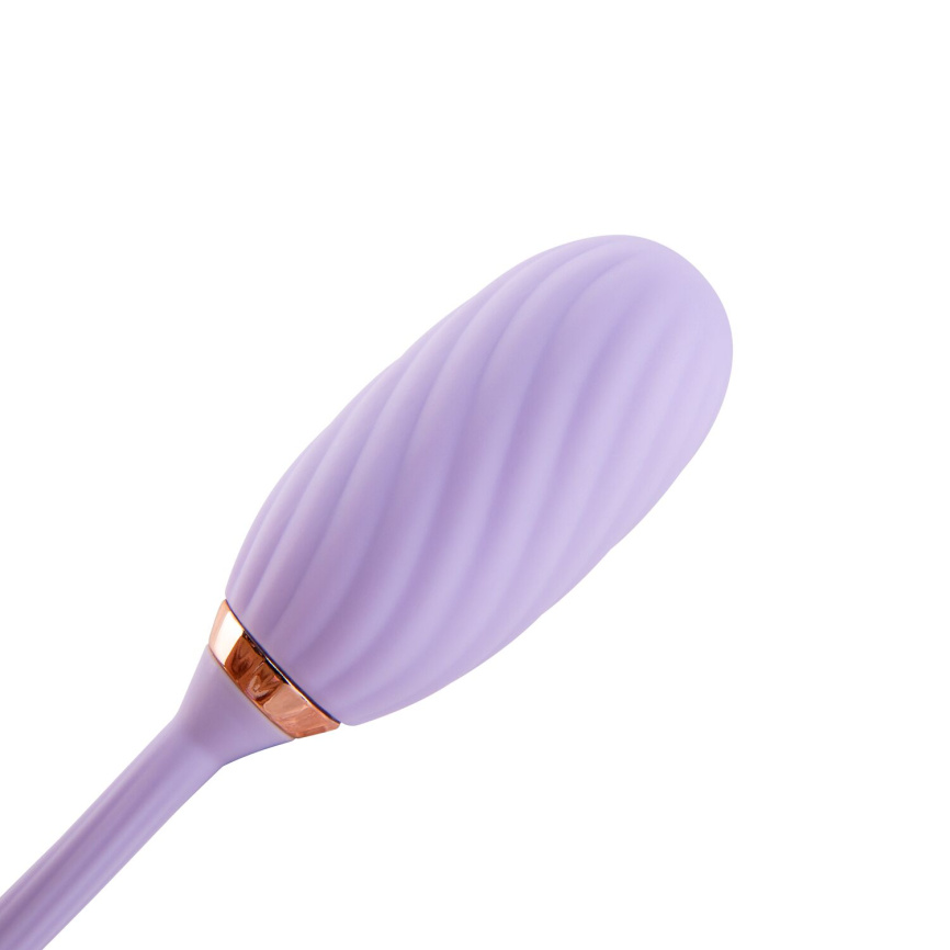 Вакуумний кліторальний стимулятор Otouch Louis Vibrate Purple з віброяйцем, у кейсі фото 4