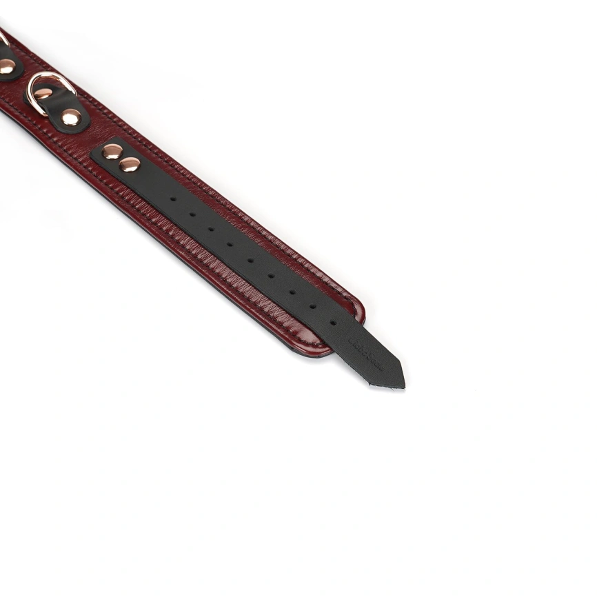 Кожаный ошейник с поводком Liebe Seele Wine Red Collar and Leash, 3 кольца для крепления фото 6
