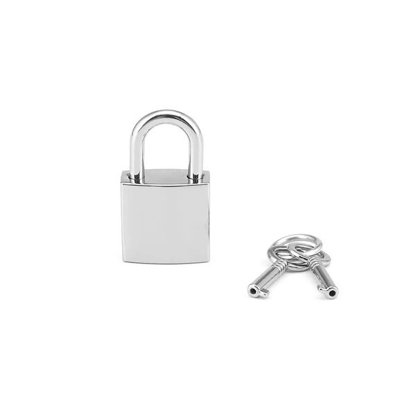 Замочек Liebe Seele Regular Padlock Silver (2 шт) фото 1