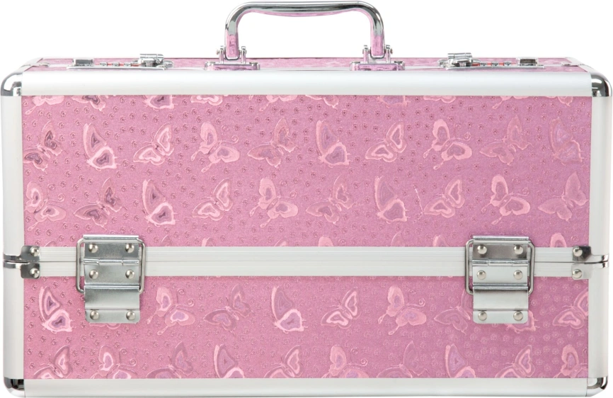 Большой кейс для хранения секс-игрушек BMS Factory Large Lokable Vibrator Case Pink, кодовый замок фото 3