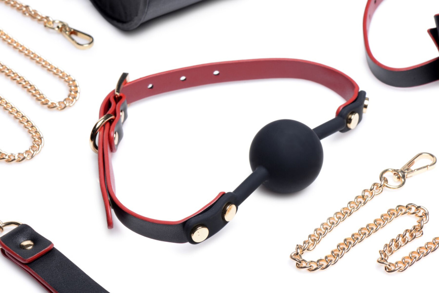Набір БДСМ з дорожньою сумкою Master Series: Bow — Luxury BDSM Set With Travel Bag, 11 предметів фото 3