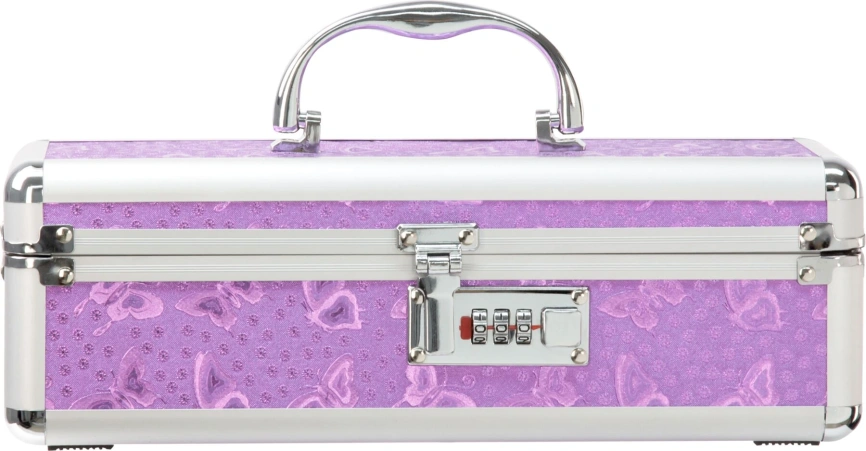 Кейс для хранения секс-игрушек BMS Factory - The Toy Chest Lokable Vibrator Case с кодовым замком фото 1