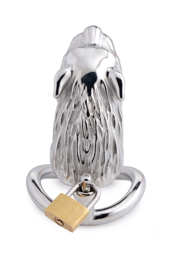 Клітка для пеніса Master Series: Tiger King Cock Cage With Lock, три кільця, замок, три ключі фото 4
