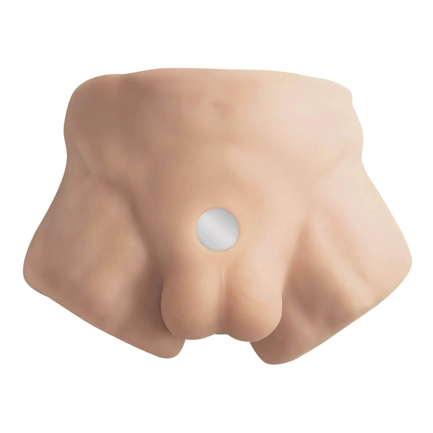Полуторс с фаллоимитатором на присоске SilexD Apollo S Male Torso, суперреалистичный,термореактивный фото 2
