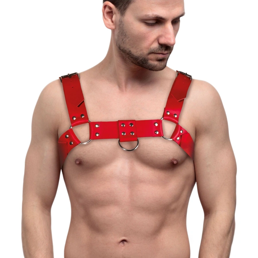 Мужская портупея на грудь из натуральной кожи Feral Feelings - Bulldog Harness Red фото 1