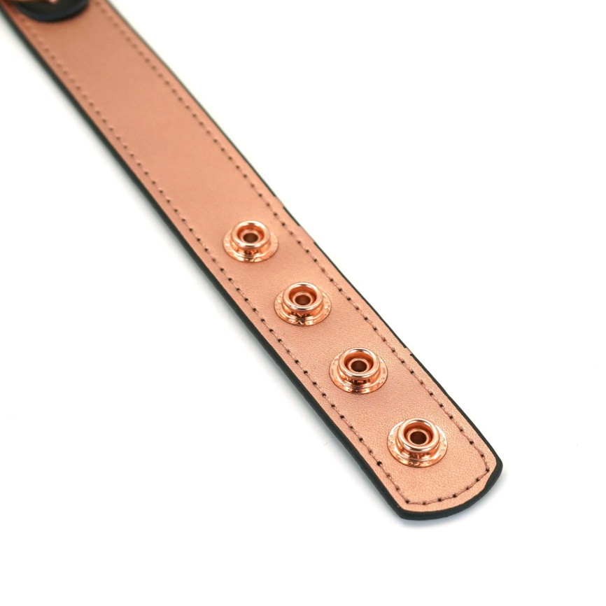 Нашийник із затискачами для сосків Liebe Seele Rose Gold Memory Collar with Nipple Clamps, шкіра фото 4