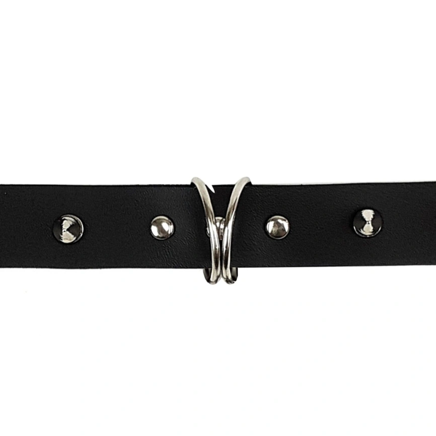 Ошейник с шипами и поводком Art of Sex - Collar Spikes and Leash фото 3