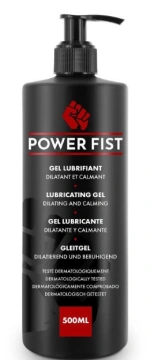 Power Fist (Франція)